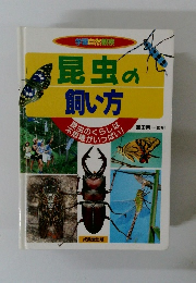 昆虫の飼い方