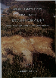 埋蔵文化財発掘調査概報Ⅲ