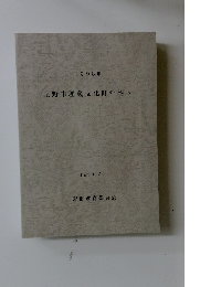 上野市埋蔵文化財年報5