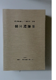 朝日遺跡Ⅲ1992