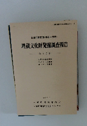埋蔵文化財発掘調査報告 第1分冊　1992年3月号