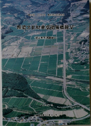埋蔵文化財発掘調査概報 V