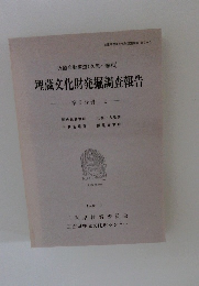 埋蔵文化財発掘調査報告　第2分冊 2