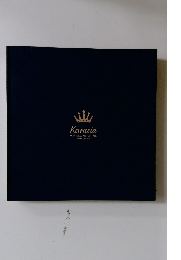 Karasia KARA 1st JAPAN TOUR 2012 PHOTOBOOK