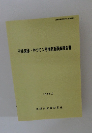 羽根遺跡やつで3号墳発掘調査報告書　1998年3月号