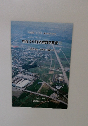 埋蔵文化財発掘調査概報VI