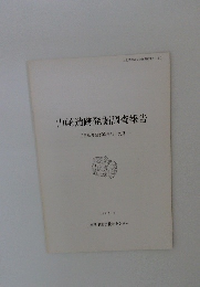 山崎遺跡発掘調査報告　三重県度会郡度会町下久具