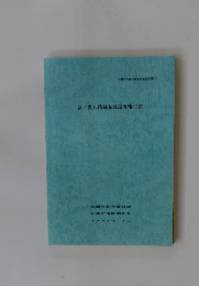 宮ノ裏B遺跡発掘調査報告書