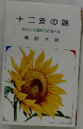 十二支の謎 たやすく四次元に遊べる