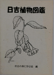 日吉植物図鑑　