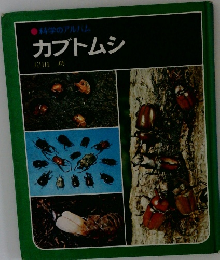 科学のアルバム　カブトムシ