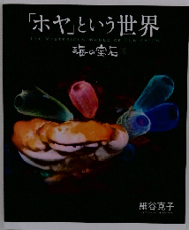 「ホヤ」という世界
