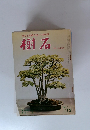 樹石　1969年12月号