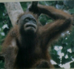 道徳教育フォーラム 1999　No.16