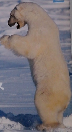 アサヒカメラ 　2006年2月号