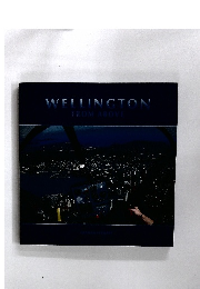 Wellington from Above