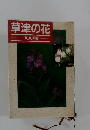 草津の花 100選