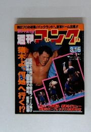 週刊ゴング　1989年3/16号　No.247