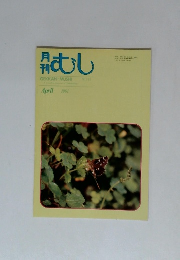 月刊 むし　1991年4月