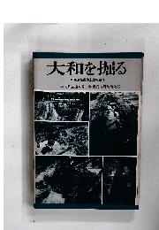 大和を掘る　1987年度発掘調査速報展 VII