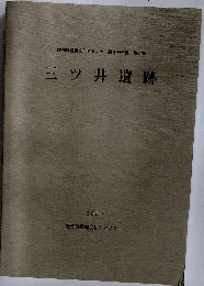 三ツ井遺跡 1999