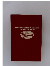 Celebrating Christ's Presence Through the Spirit