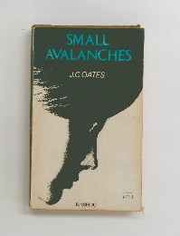 SMALL　AVALANCHES