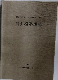 馬引横手遺跡