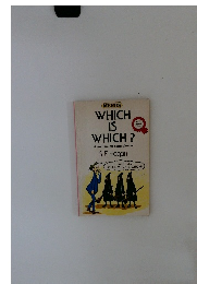 WHICH IS WHICH?　A manual of homophones