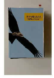 天空を翔る鳥たち