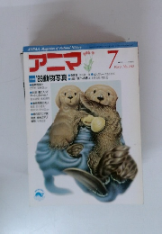 アニマ　1989.7
