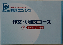 作文・小論文コース　下 　レベル 31~50