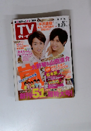 TV ガイド　2013年