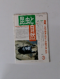 昆虫と自然　3