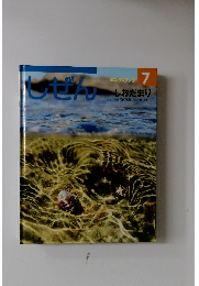 しぜん　しおだまり　7