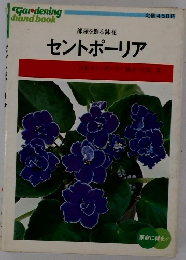 セントポーリア　部屋を飾る鉢花