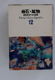 岩石・鉱物　12　原色学習ワイド図鑑