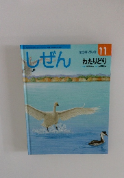 しぜん　11　キンダーブック　わたりどり