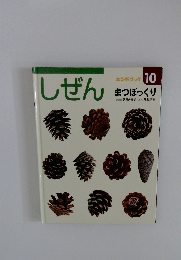 しぜん まつぼっくり 10