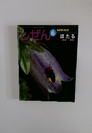 しぜん6　ほたる