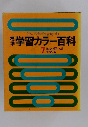 標準学習カラー百科　7　政治・経済・社会 保健体育