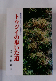 南房総のマテバシイ植栽文化 トウジイの歩いた道