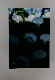 Art Anthropology　02