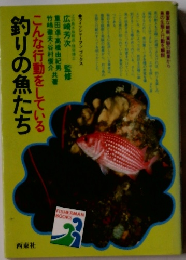 こんな行動をしている　釣りの魚たち