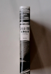 さまよう刃東野圭吾