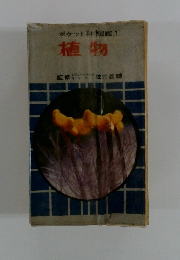 植物　ポケット科学図鑑 1
