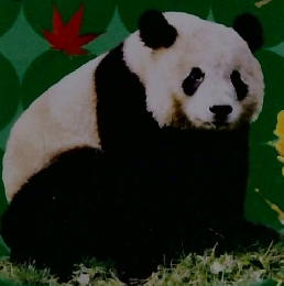 ぴっかりしぜんずかん