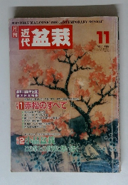 月刊近代盆栽　1992年11月号