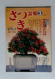 さつき　　1982年3月号