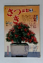 さつき　　1982年3月号